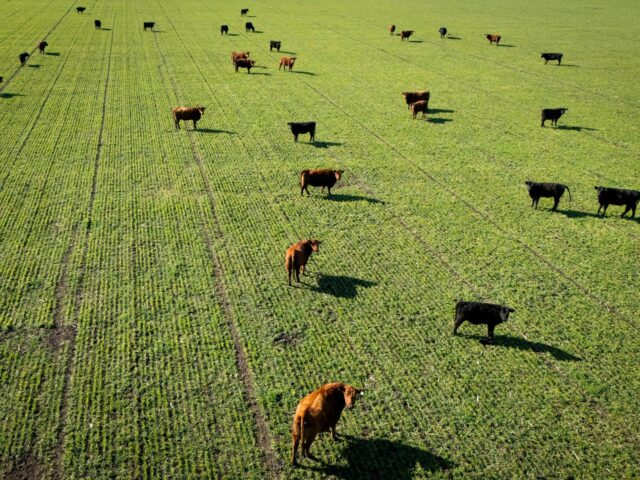 Ministro vê avanços em negociações com UE sobre carnes