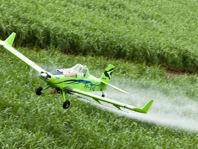 Brasil é 2º maior importador de pesticidas proibidos na UE